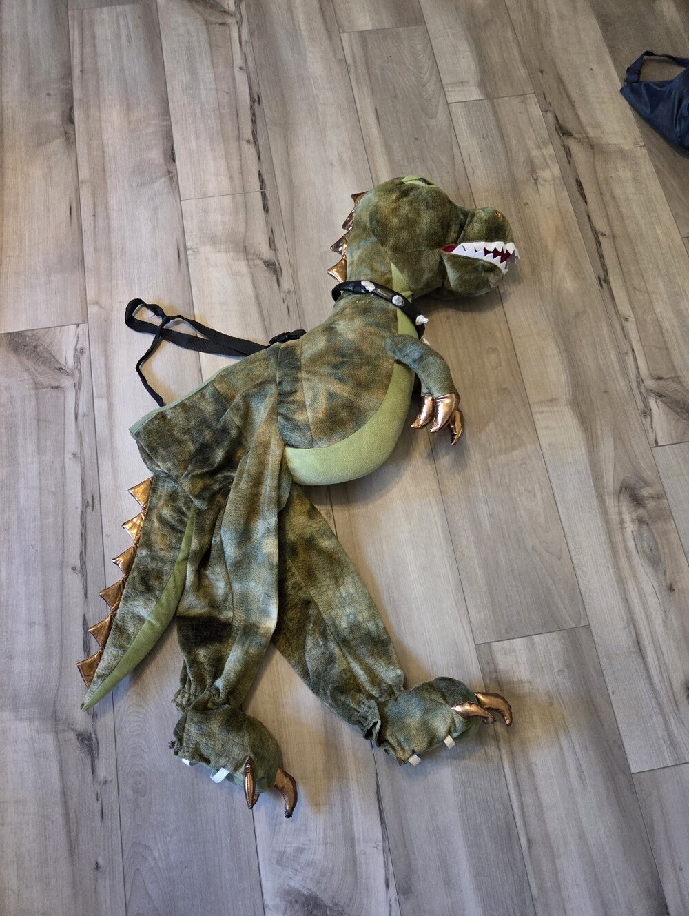 Kids Green Dinosaur Costume